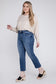 Delicate Plus Size High Rise Slim Straight Jeans